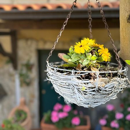 Taverna Anto Daire Varcaturo Dış mekan fotoğraf